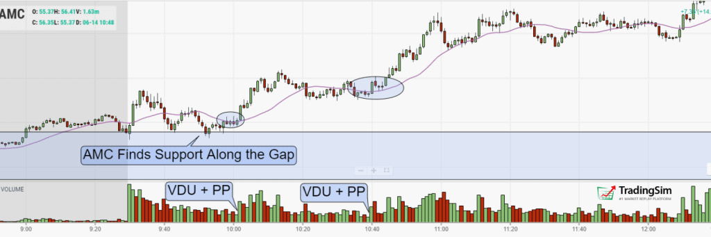 AMC VDU and Pocket Pivots