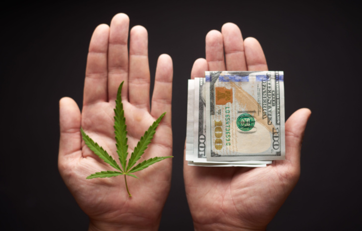best marijuana stocks money