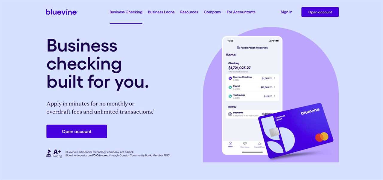 Bluevine banking homepage