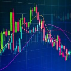 municipal money market fund yields