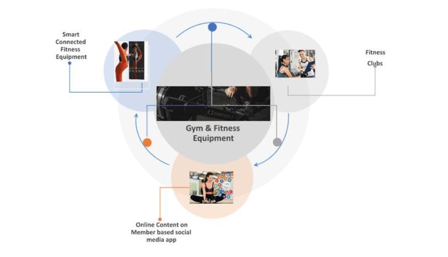 The business model of Fitell Corp.