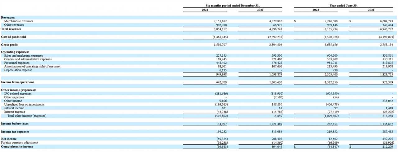 Financial performance of Fitell Corp.