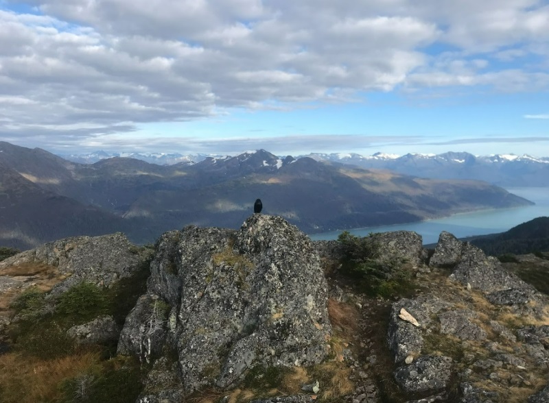alaska locums tenens