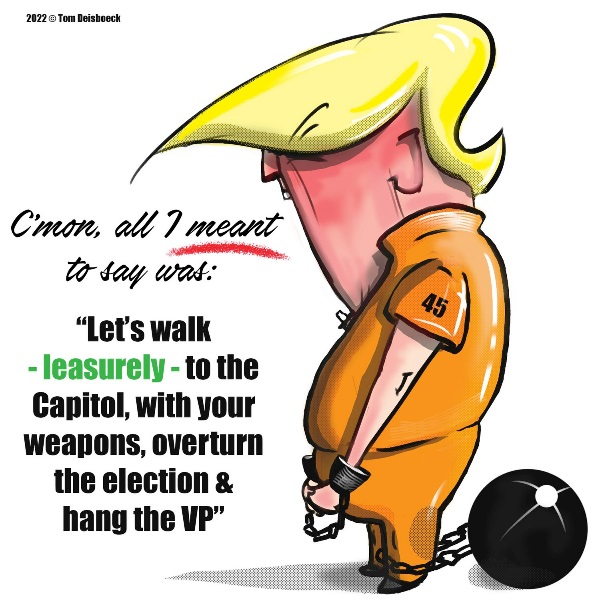 tom deisboeck donald trump cartoon