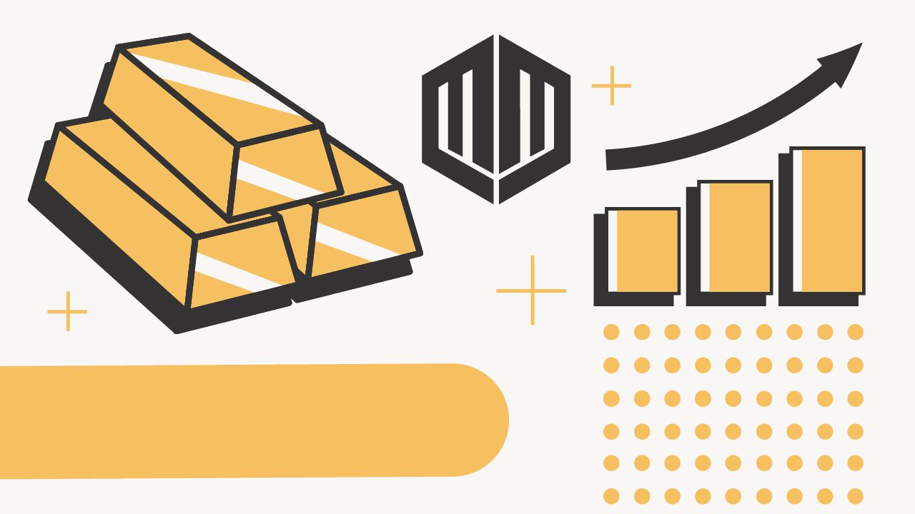 Monetary Metals Review