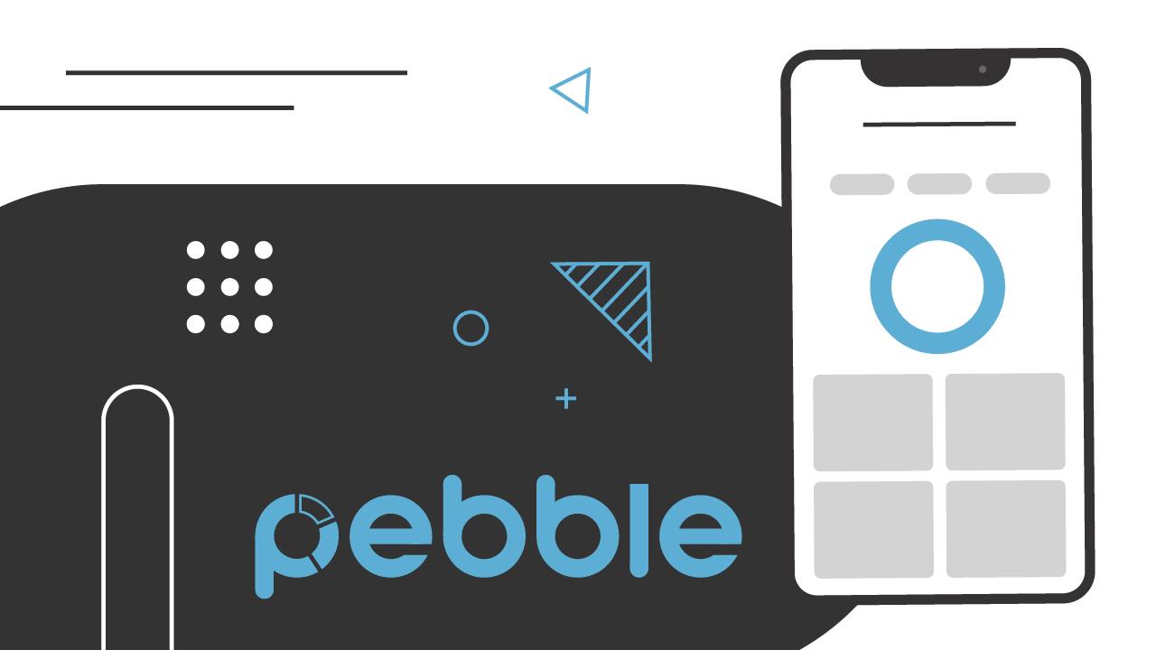 pebble finance review