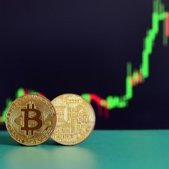 Bitcoin reasons to invest