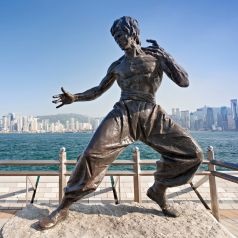 Bruce Lee RISA review