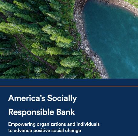 Amalgamated Bank screen grab