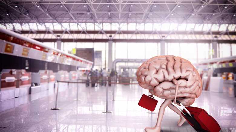 Is America Facing A Graduate School Brain Drain?