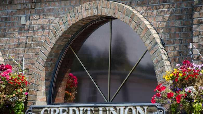 Credit Union Student Loans: Guide To Direct vs. Partner Programs