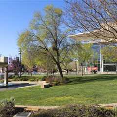 DOJ Finds UC Davis Medical School Discriminated By Race In Admissions