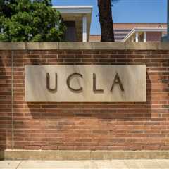 Berkeley, UCLA, Ohio State Among 24 Colleges With No AI Admissions Policy, Report Finds